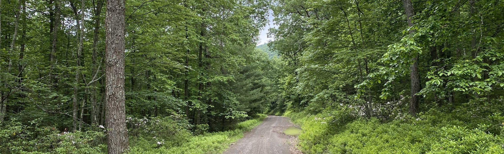 Reeds Gap, High Top, and Knob Ridge Rd, Pennsylvania 6 Reviews, Map