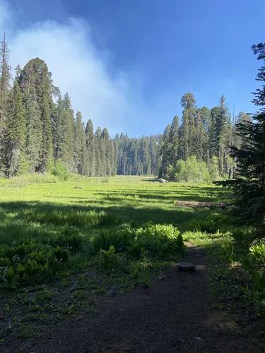 Sequoia national 2024 park alltrails