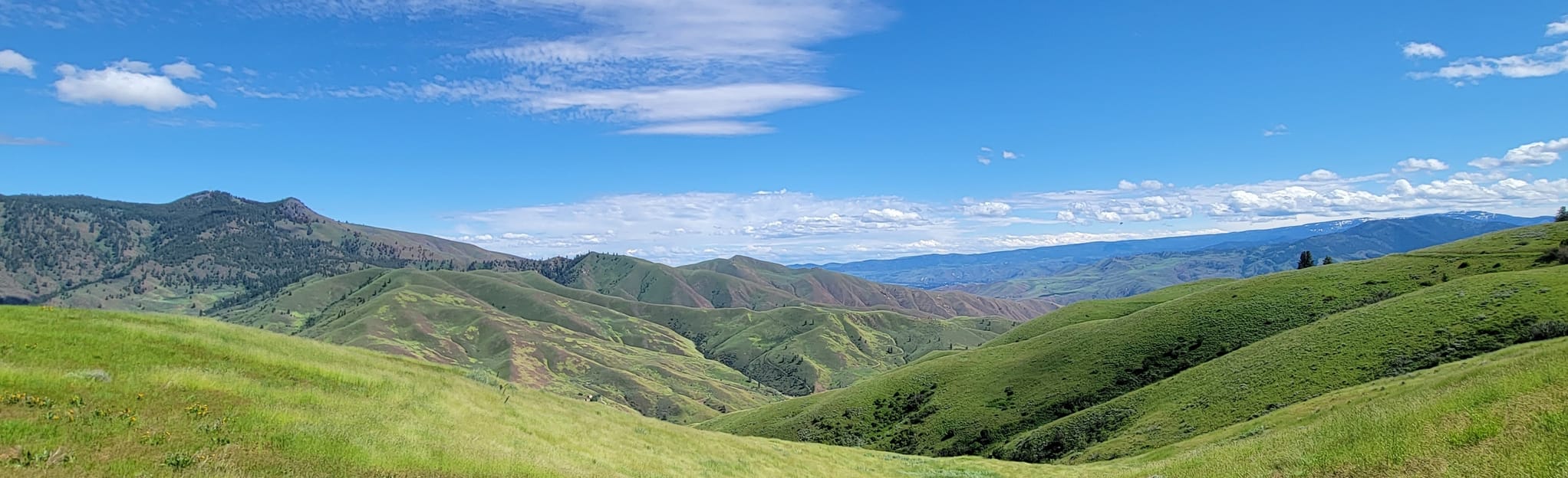 Ridge Road via Nahahum Trail 3 Reviews, Map Washington AllTrails