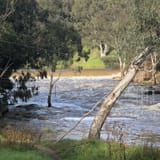 Galatea Point & Dights Falls Loop, Victoria, Australia - 252 Reviews ...