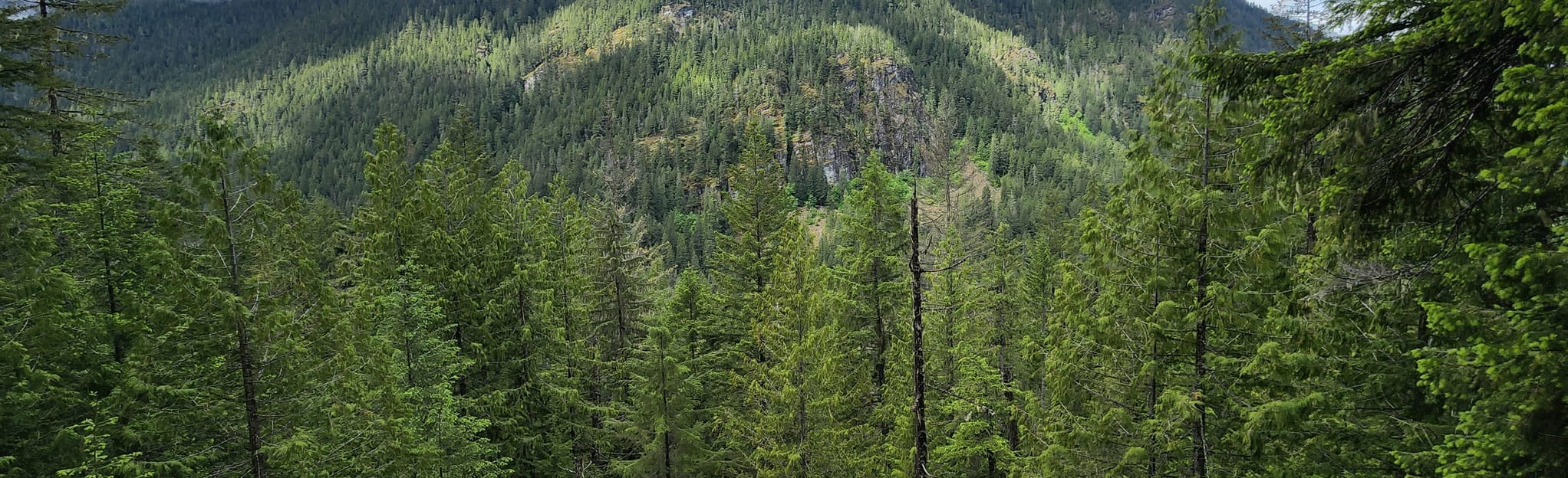 elevation of fourth of july pass