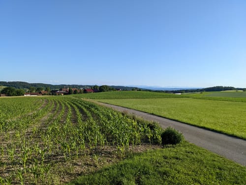 Rauscher Stein