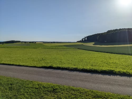 Rauscher Stein