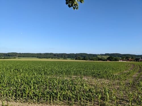 Rauscher Stein