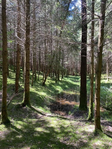 Toteiskesselweg: Höhenberger Route