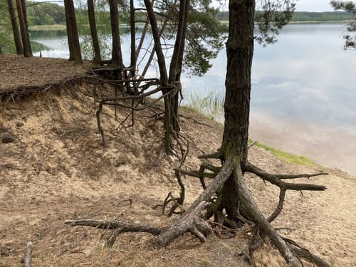 Rundweg um Helene- und Katjasee