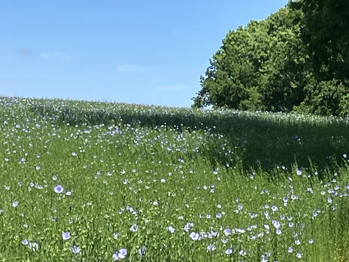 Best Hikes and Trails in GrandCamp AllTrails