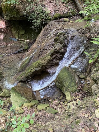 NaturWanderPark delux: Felsenweg 4