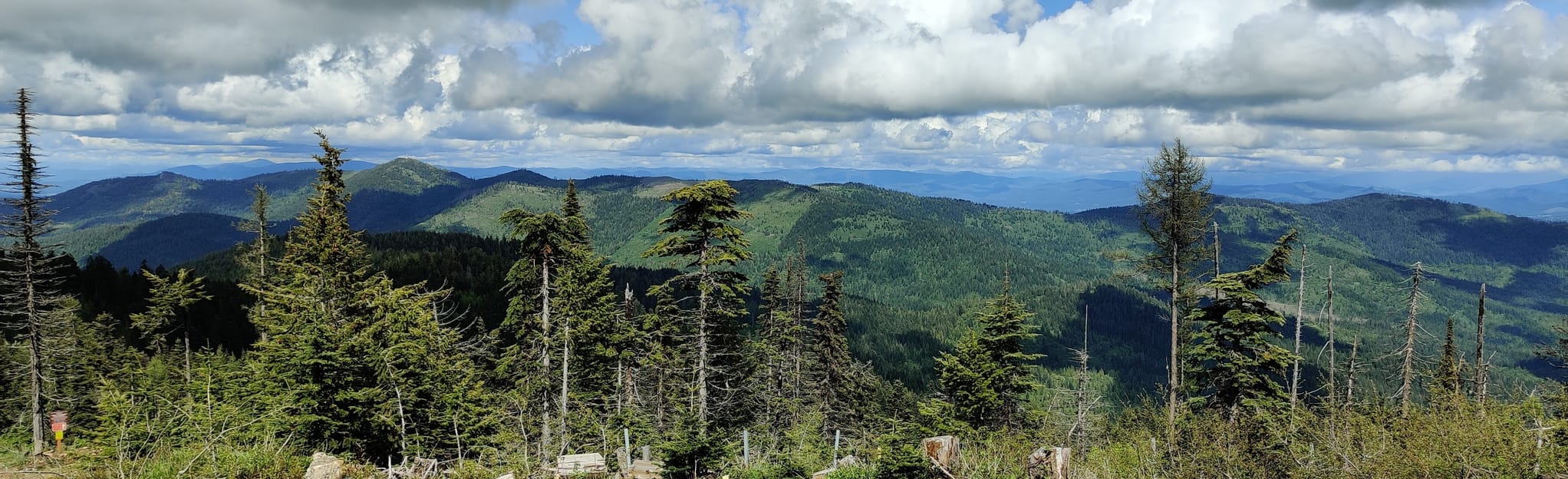 Mica Peak via California Creek, Washington - 441 Reviews, Map | AllTrails