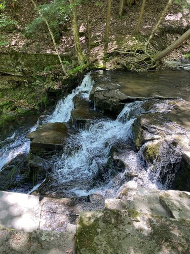 Best Hikes and Trails in Partridge Run Wildlife Management Area | AllTrails