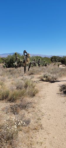 Arthur B. Ripley Desert Woodland State ParkTitle