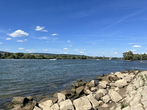 Von Frei-Weinheim entlang des Rheins bis Heidenfahrt