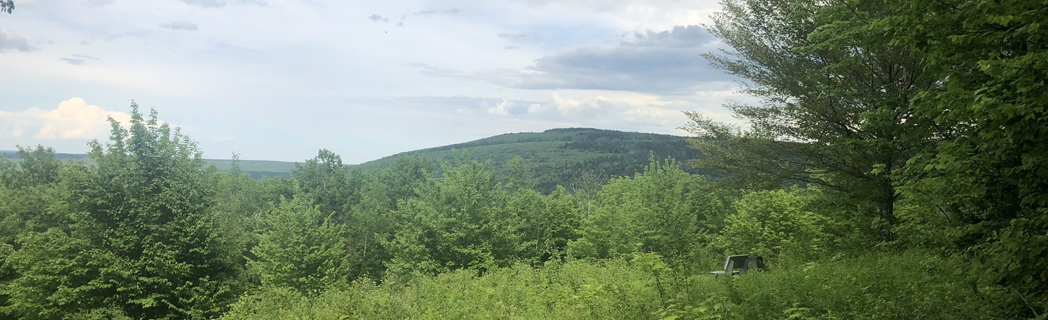 Higgins Mountain Trails [PRIVATE PROPERTY] 26 Reviews, Map Nova Scotia, Canada AllTrails