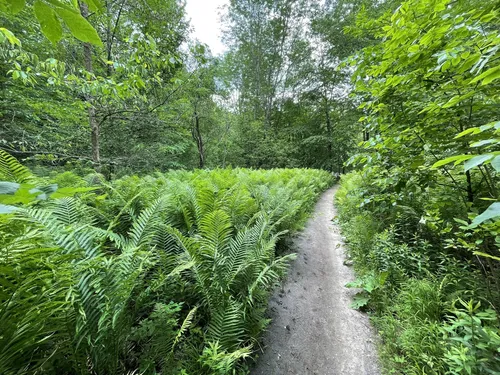 2023 Best 10 Wildflowers Trails in Parc d'environnement naturel de ...