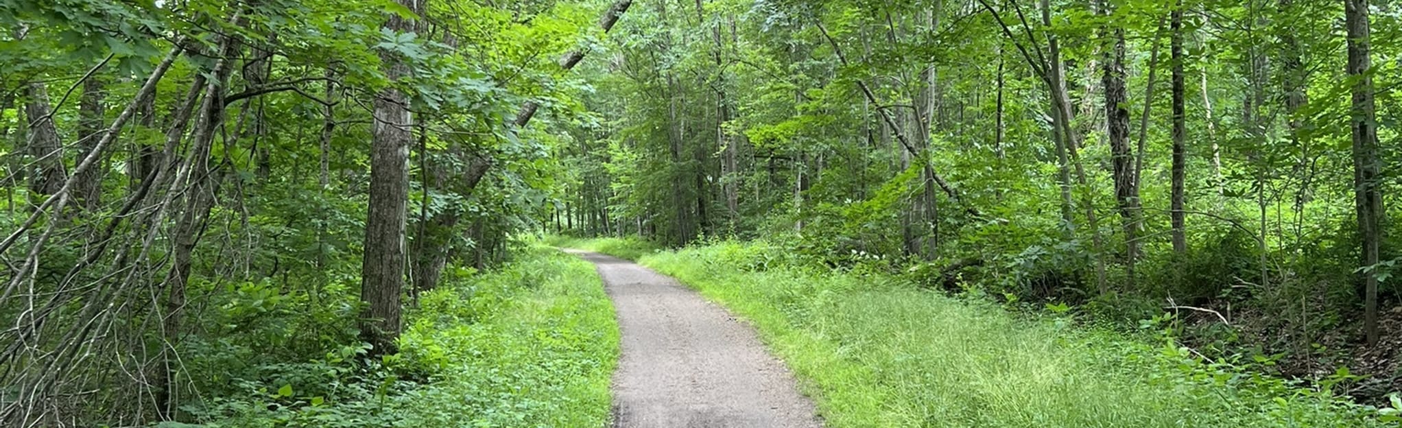 Air Line Trail Hebron Road to Burnap Brook Road, Connecticut 335