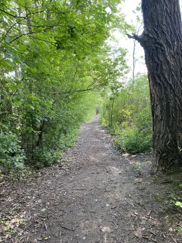 10 Best Trails and Hikes in Edina