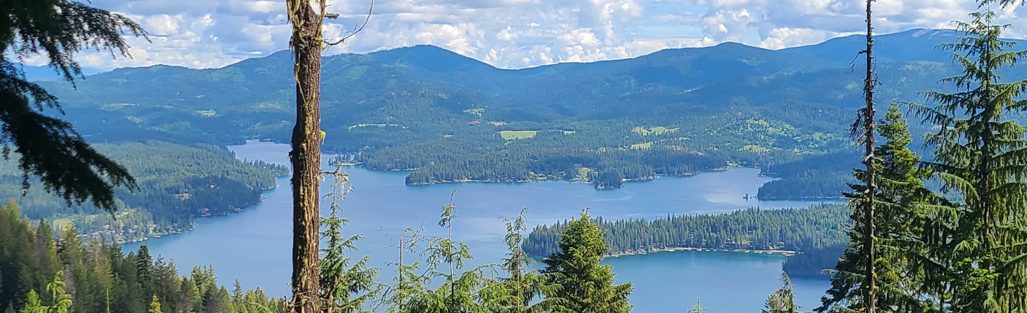 Big Trees Trail, Idaho 352 Reviews, Map AllTrails