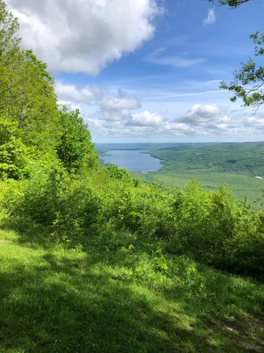 Harriet hollister best sale state park