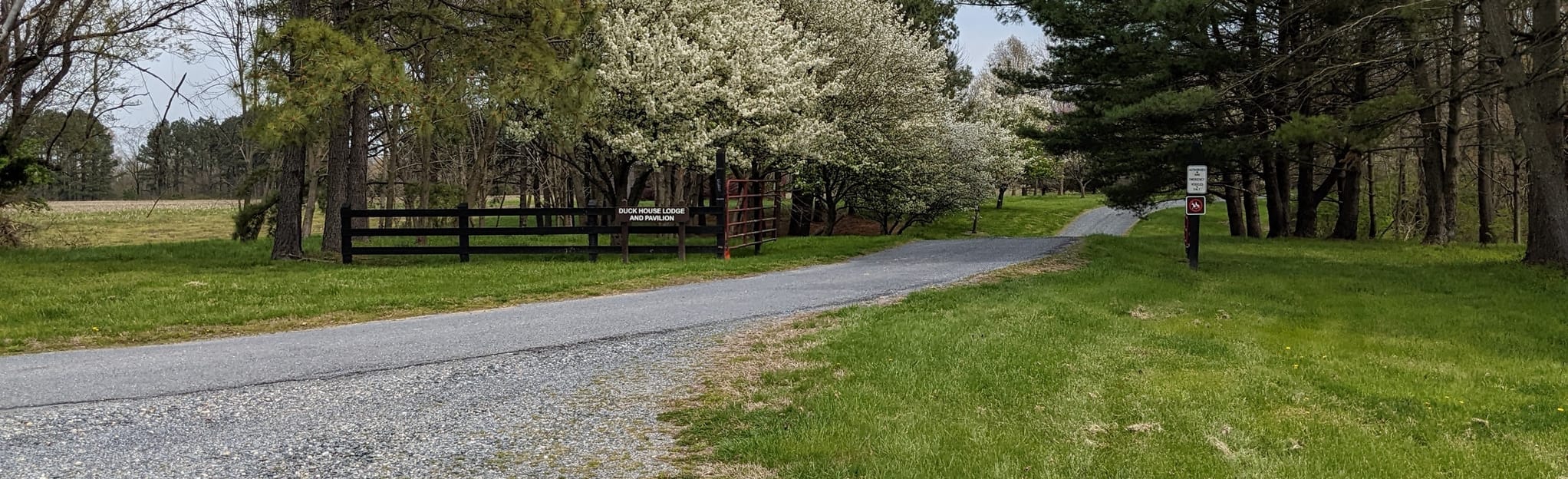 Old School House Holly Tree Loop, Wye Island Maryland AllTrails