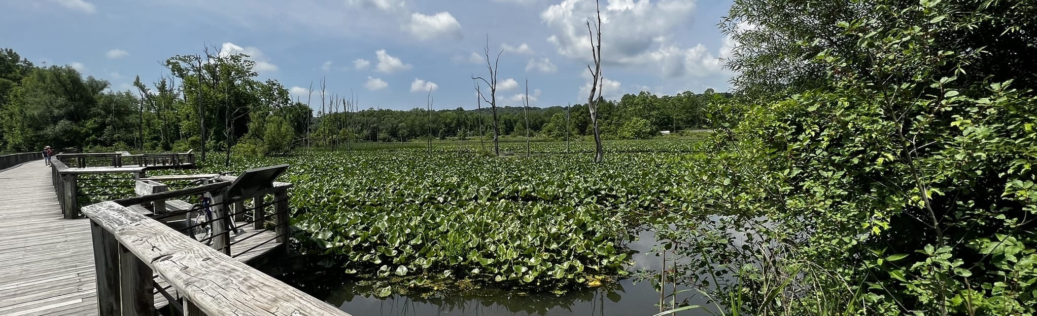 Beaver Marsh via Hunt House: 354 Reviews, Map - Ohio | AllTrails