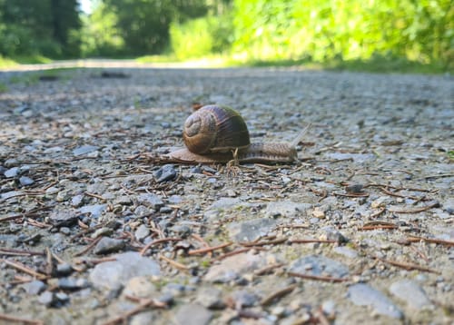 Leutkircher Trimm-Dich-Pfad