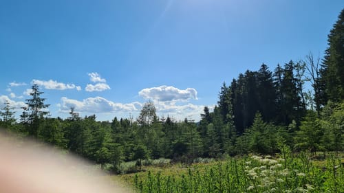 Leutkircher Trimm-Dich-Pfad