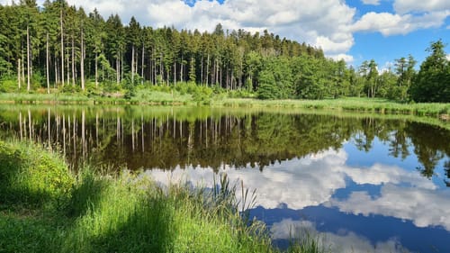 Leutkircher Trimm-Dich-Pfad