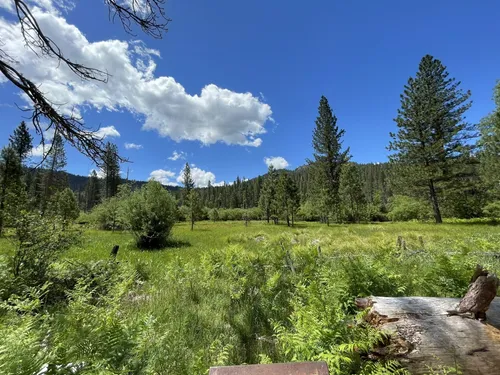 Dog friendly trails outlet in yosemite