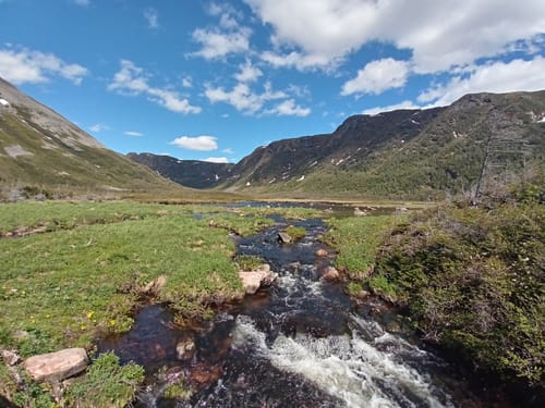 Gros Morne National Park Die 10 besten Wanderungen und Routen AllTrails