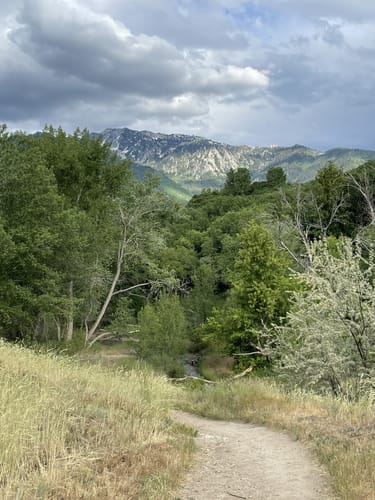 Best 10 Hikes and Trails in Dimple Dell Regional Park | AllTrails