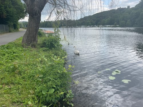 Durch den Kettwiger Stadtwald