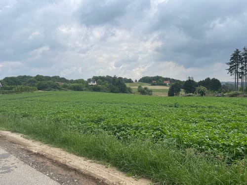Durch den Kettwiger Stadtwald
