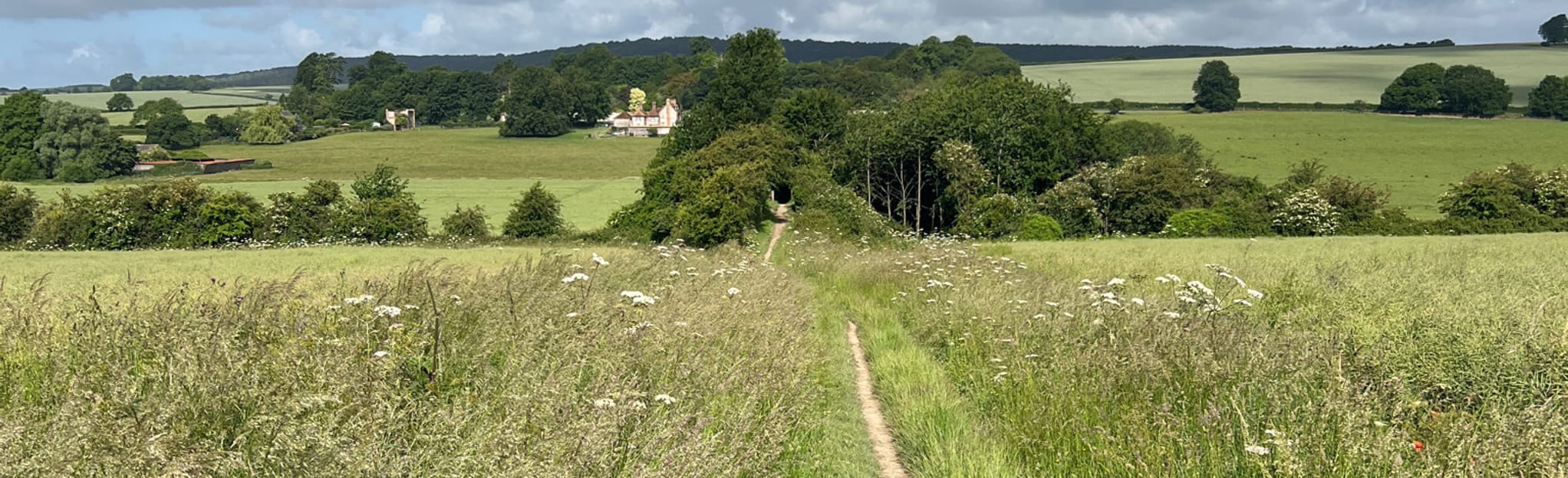 New Lipchis Way Liphook to West Wittering, Hampshire, England 2