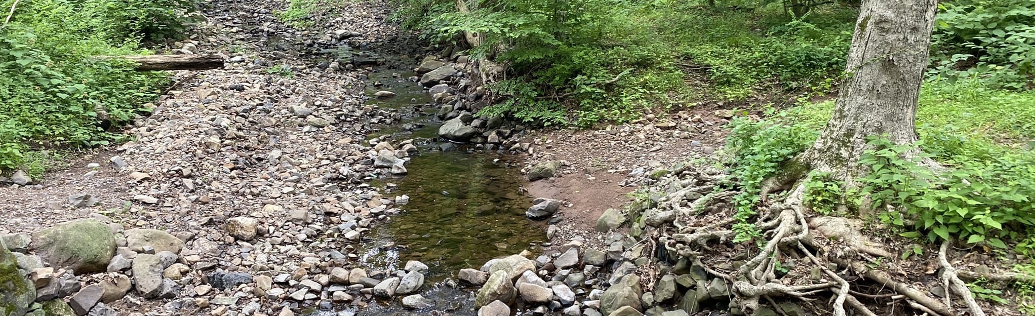 River, Overlook and Balls Bluff Trail Loop 643 Reviews, Map New