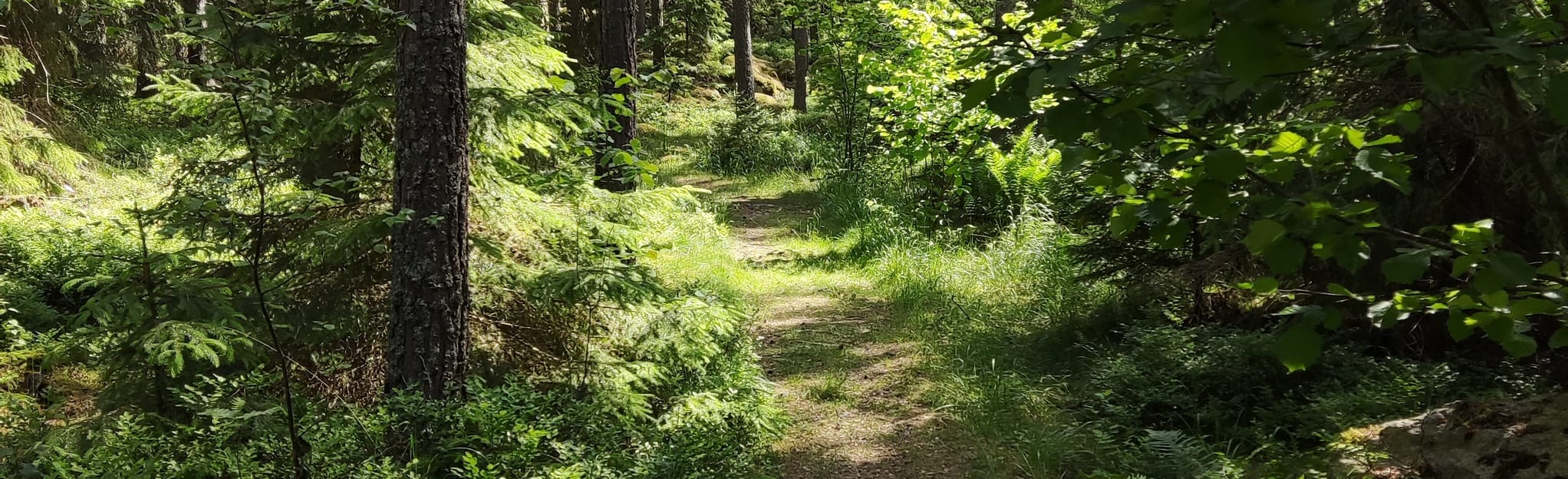 Upplands Väsby around Järfälla, Stockholm, Sweden 4 Reviews, Map