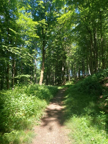 Jung-Stilling-Rundweg