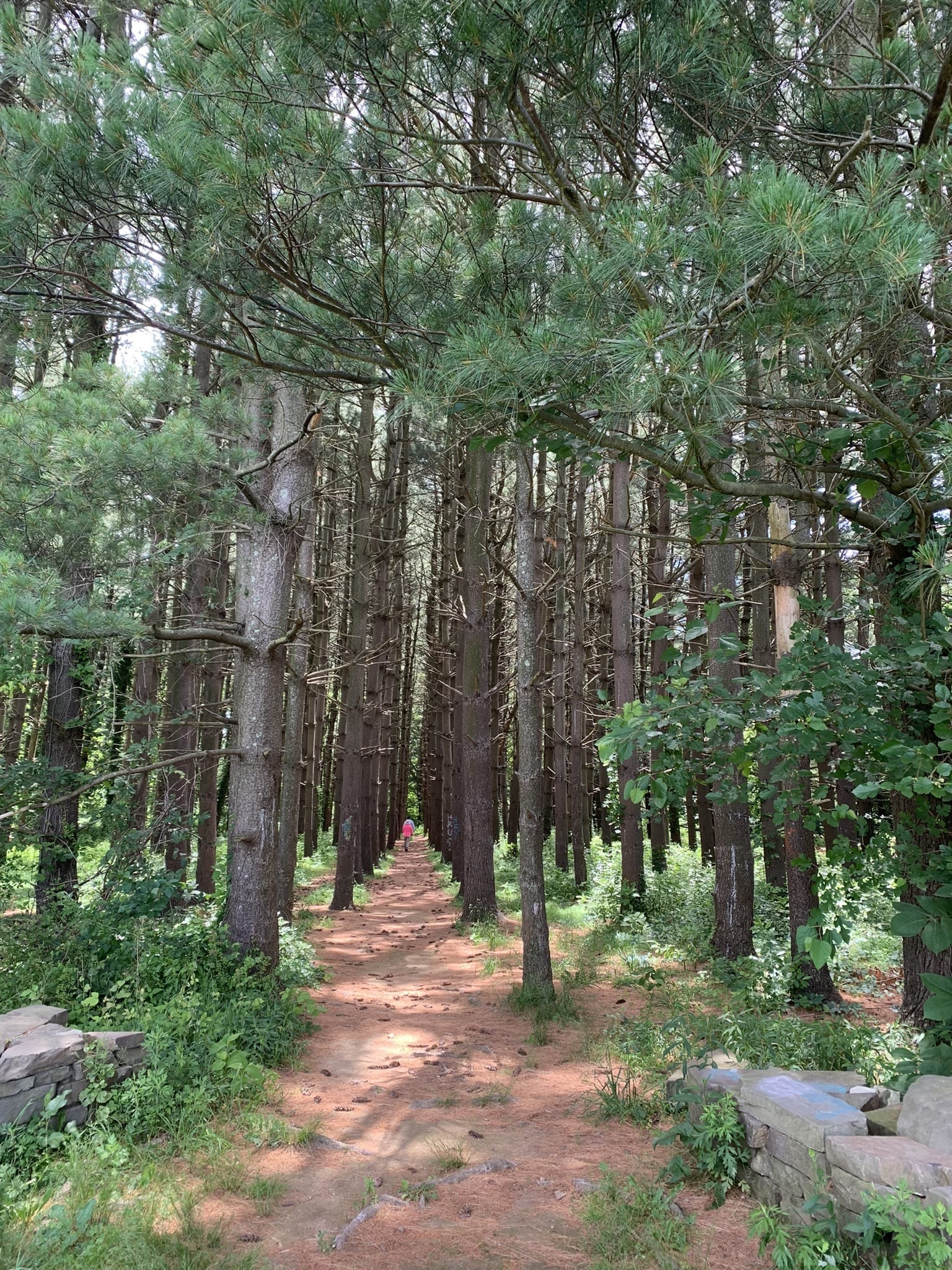 Photos of Rutgers Gardens Via Helyar Woods Trail - New Jersey | AllTrails