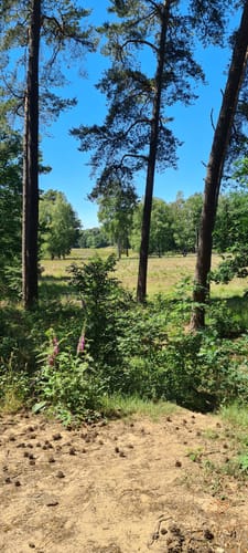 Auesee und Diersfordter Wald