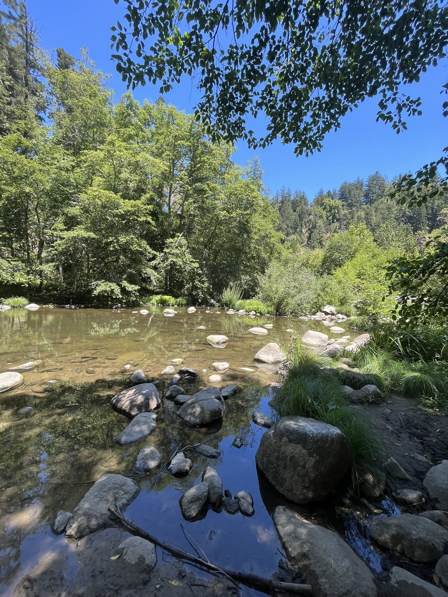 Photos of Santa Cruz California horseback riding trails AllTrails