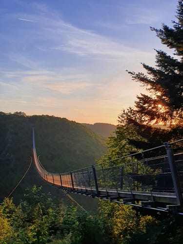 Geierlayschleife (Premiumwanderweg)