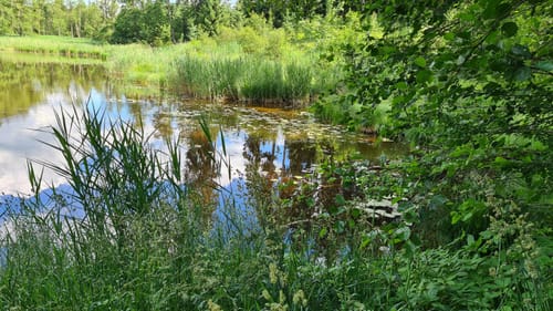Leutkircher Trimm-Dich-Pfad