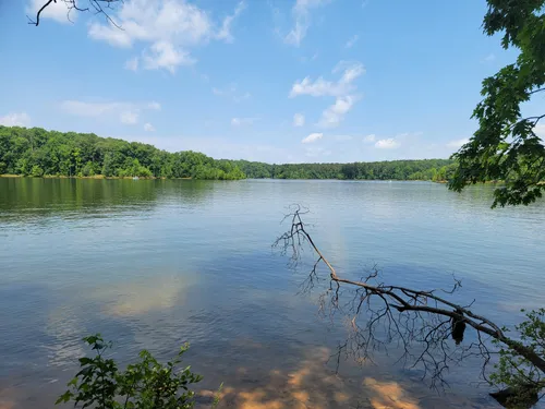 Best Hikes and Trails in Annie Louise Wilkerson, MD Nature Preserve ...