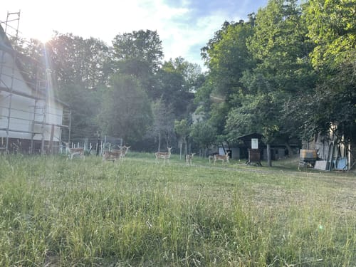 Rund um Altenburg und Kotteritz