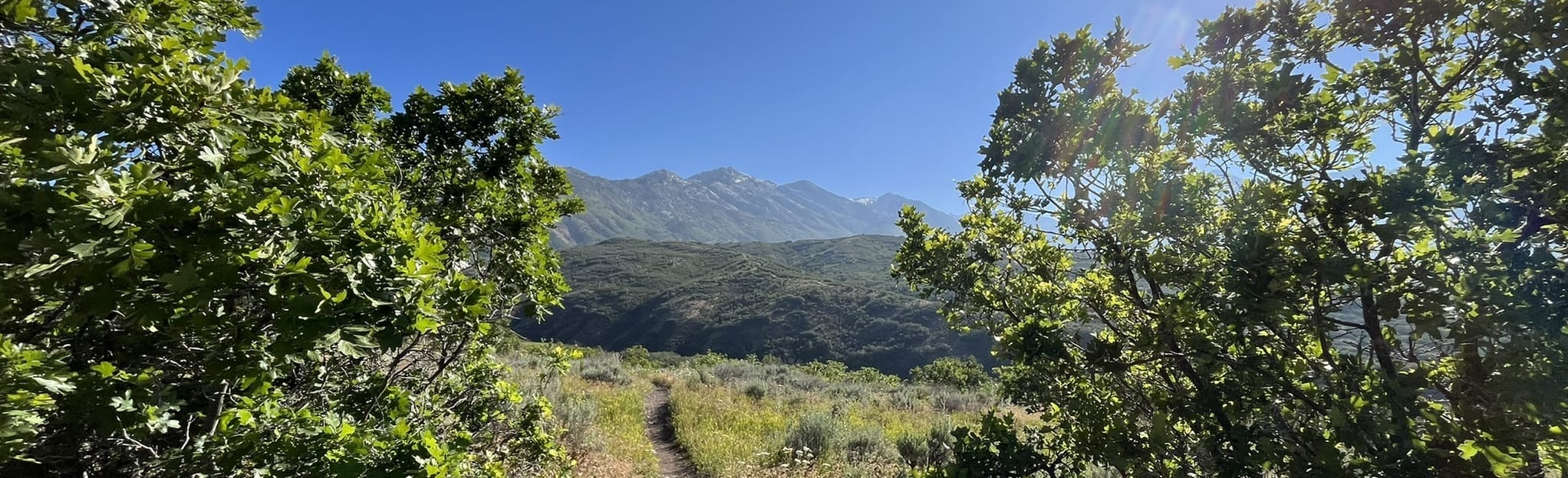 Mercer Mountain, Utah - 73 Reviews, Map | AllTrails