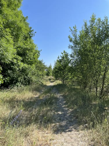 Rund um Altenburg und Kotteritz