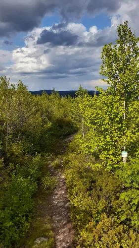 Best Moderate Trails in Parc Régional Obalski AllTrails