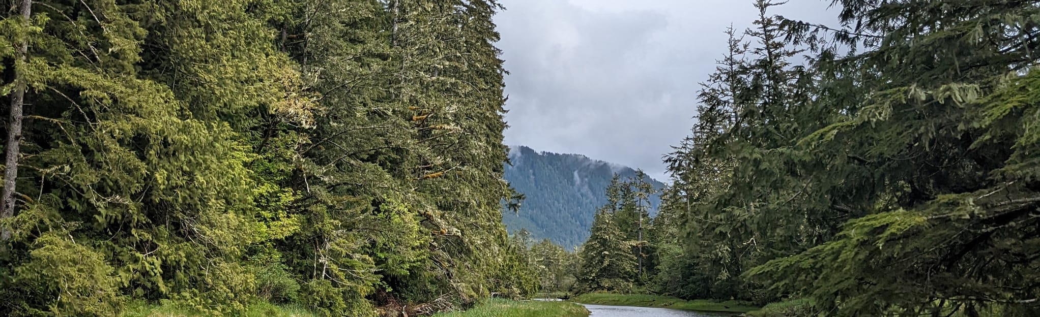 Tatchu Trail, British Columbia, Canada - 15 Reviews, Map | AllTrails