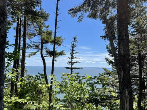 10 Best Hikes and Trails in Fundy National Park | AllTrails