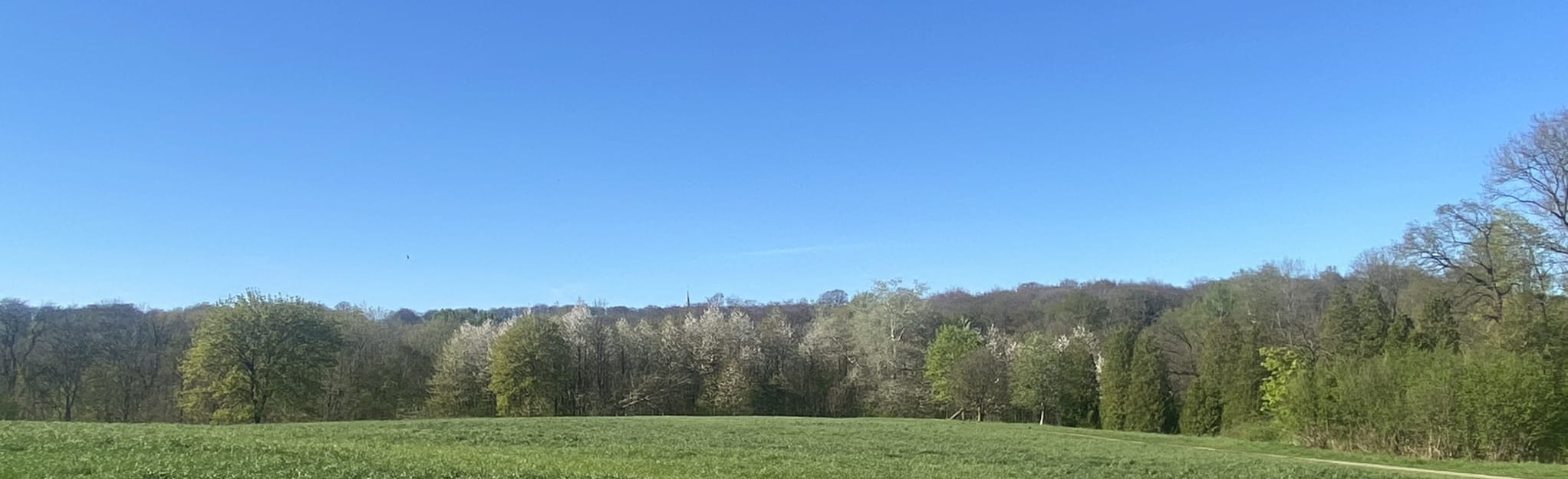 Woods of Mariemont Walk 71 Reviews, Map Hainaut, Belgium AllTrails