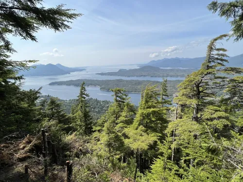 10 Best Trails and Hikes in Ketchikan | AllTrails